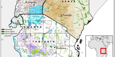 แผนที่ของแทนซาเนียเพื่อให้แสดงทางประวัติศาสตร์เว็บไซต์
